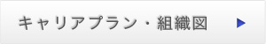 キャリアプラン・組織図