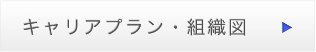 キャリアプラン・組織図