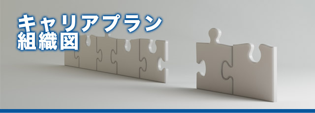 キャリアプラン・組織図イメージ